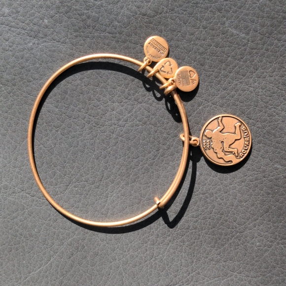 Alex and Ani Aquarius Bracelet Gold - Picture 1 of 3